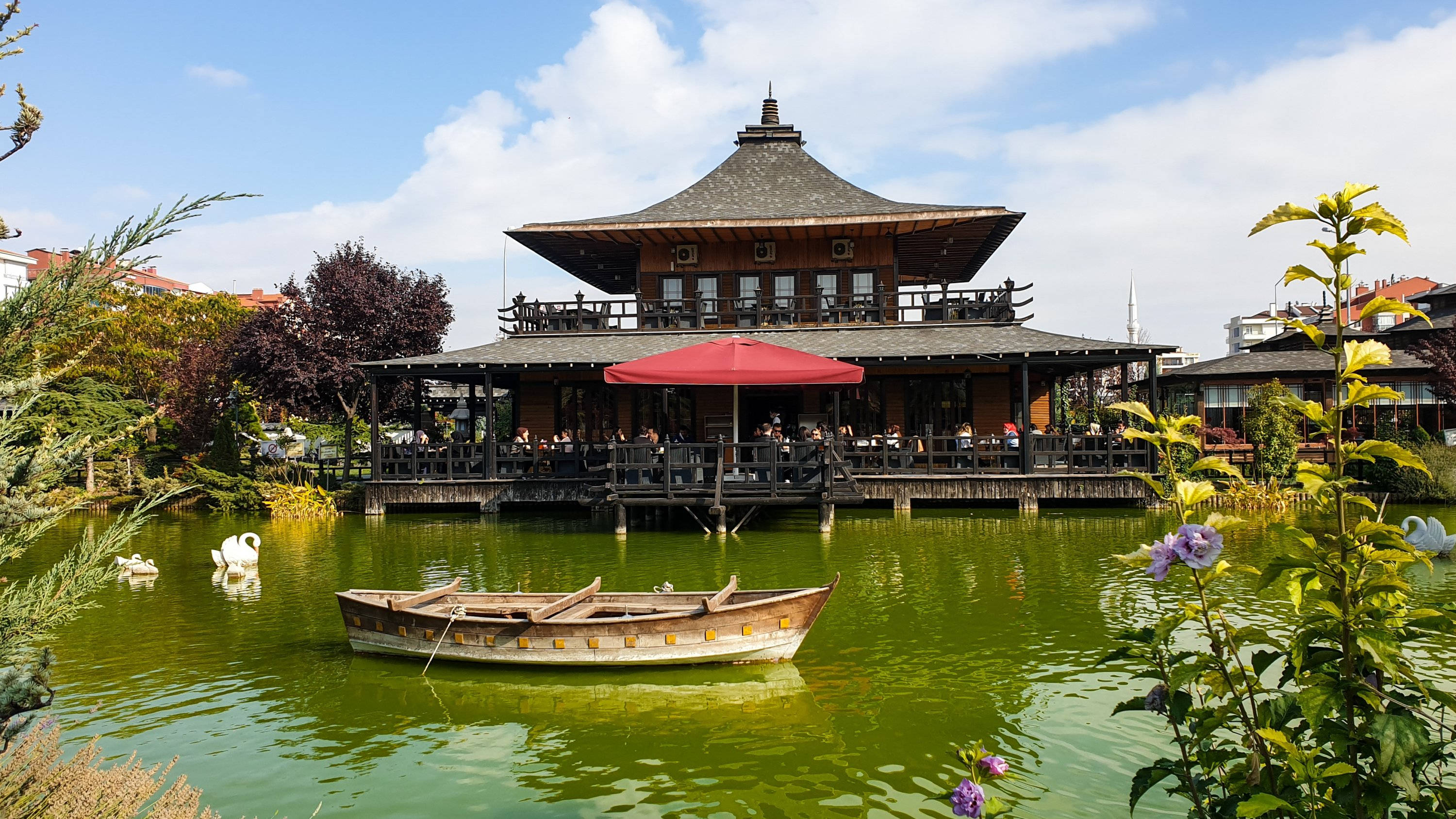 科尼亞京都日式公園 壁紙 — 一座傳統木造亭子，帶有分層屋頂，坐落於平靜的綠色池塘上，周圍環繞著茂密的樹葉和天鵝，附近停泊著一艘小船，在明亮的藍天下。