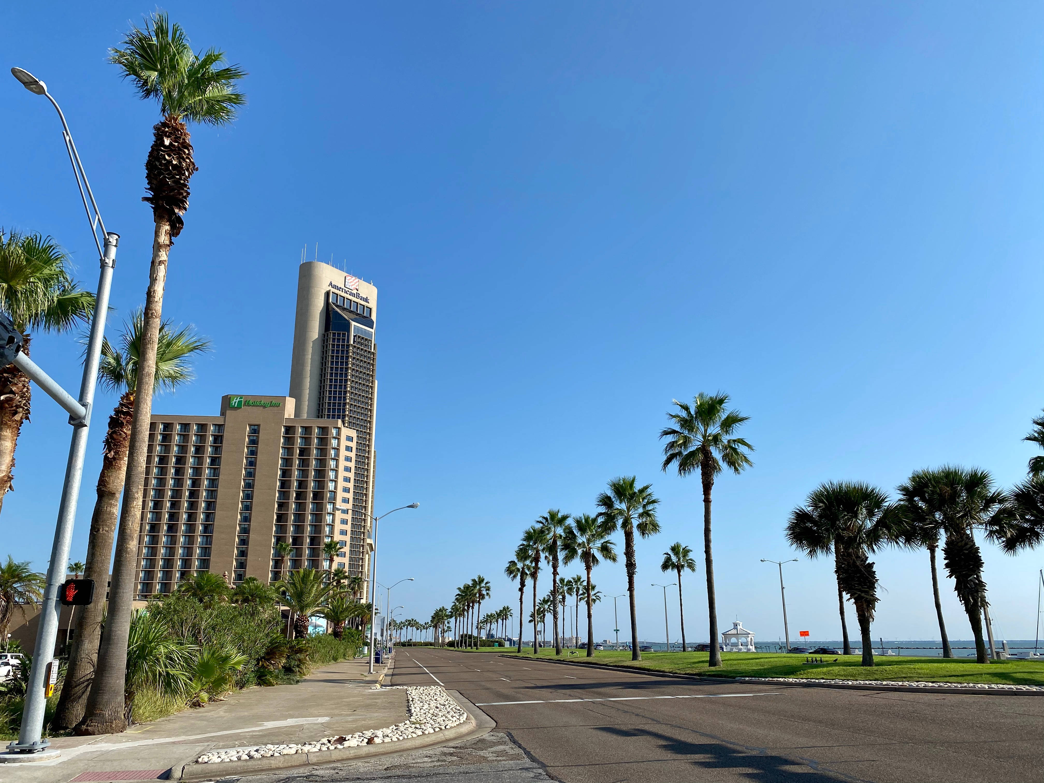 科珀斯克里斯蒂棕櫚樹大道 壁紙 — 一條陽光明媚的海岸道路兩旁種滿棕櫚樹，通向一座高聳的酒店建築，上方是清澈的藍天。