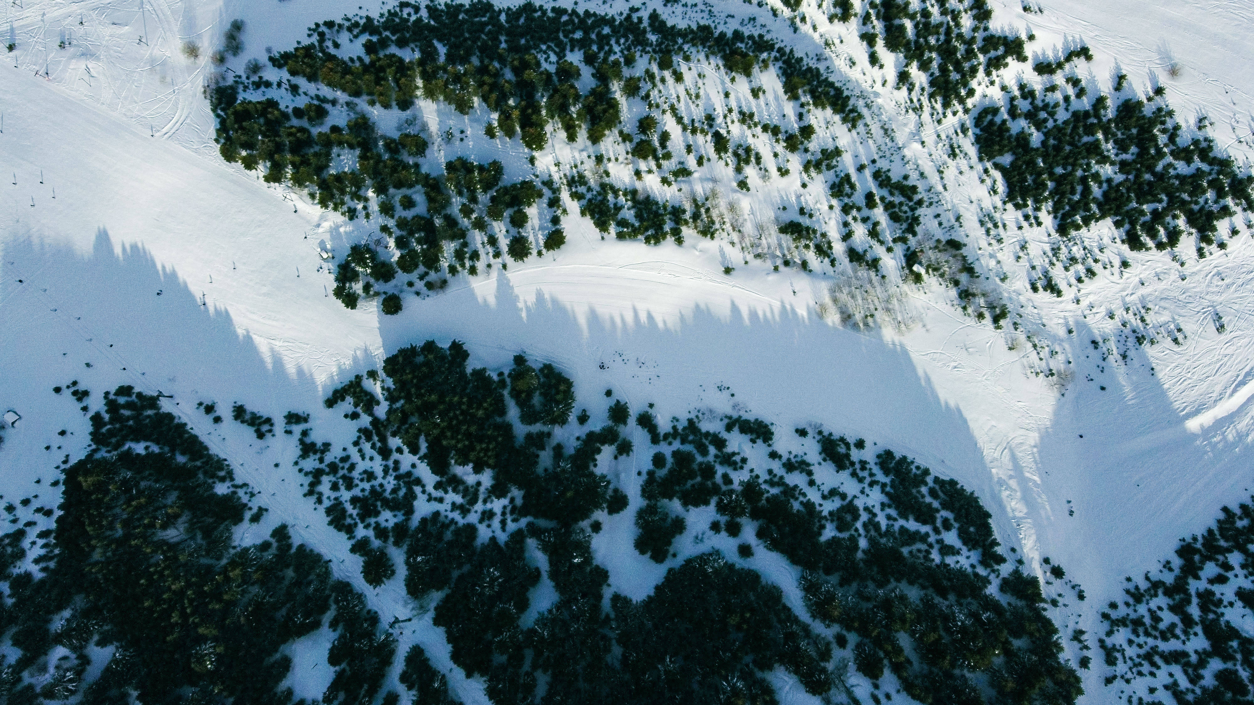 科索沃雪山 壁紙 — 白雪覆蓋的山坡上點綴著深色常綠樹木，投下長長陰影的航拍視圖。