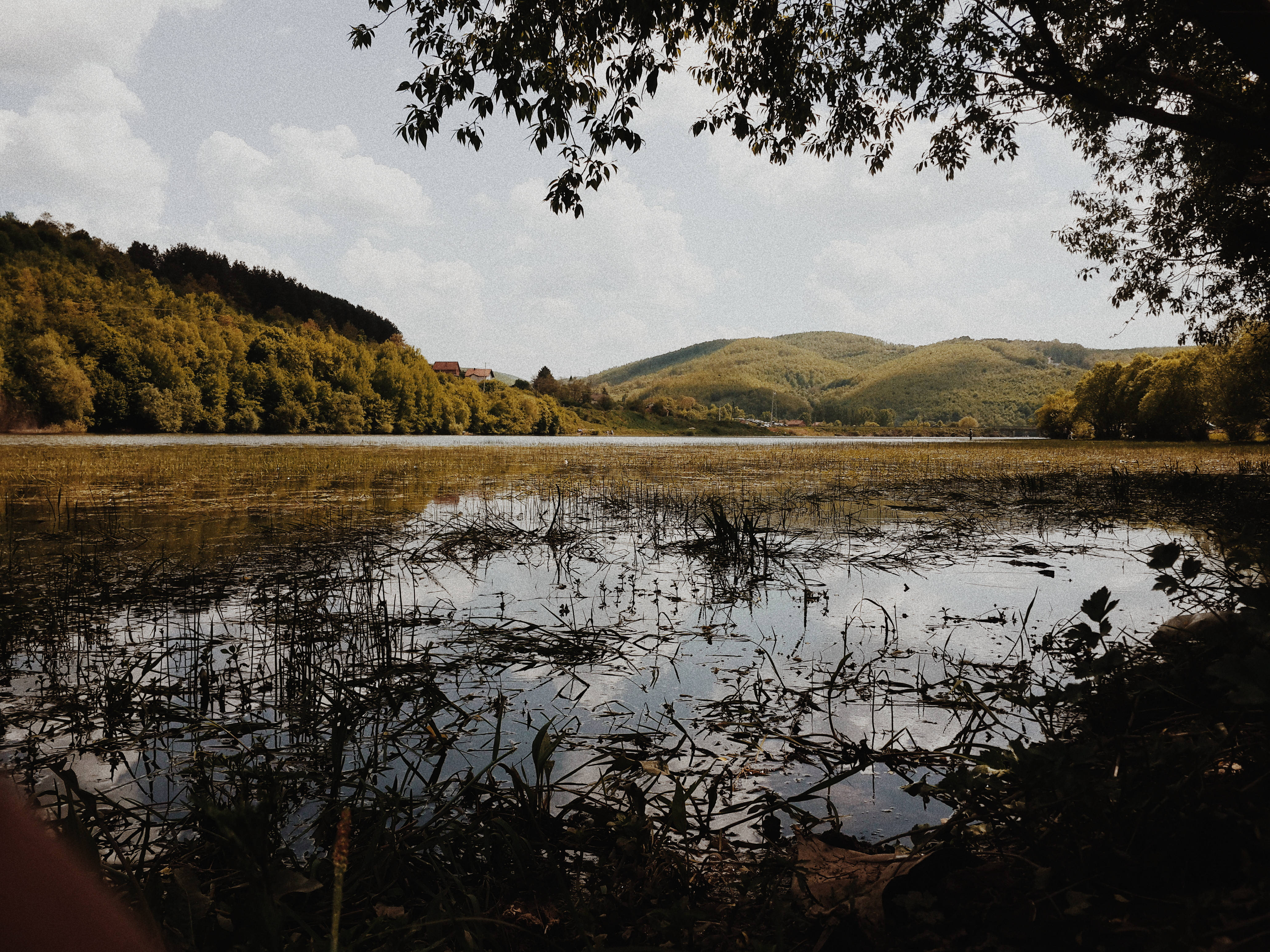 科索沃雲與綠野 壁紙 — 一個寧靜的湖泊，被垂下的樹枝框住，在柔和的多雲天空下倒映著遠處的森林山丘。