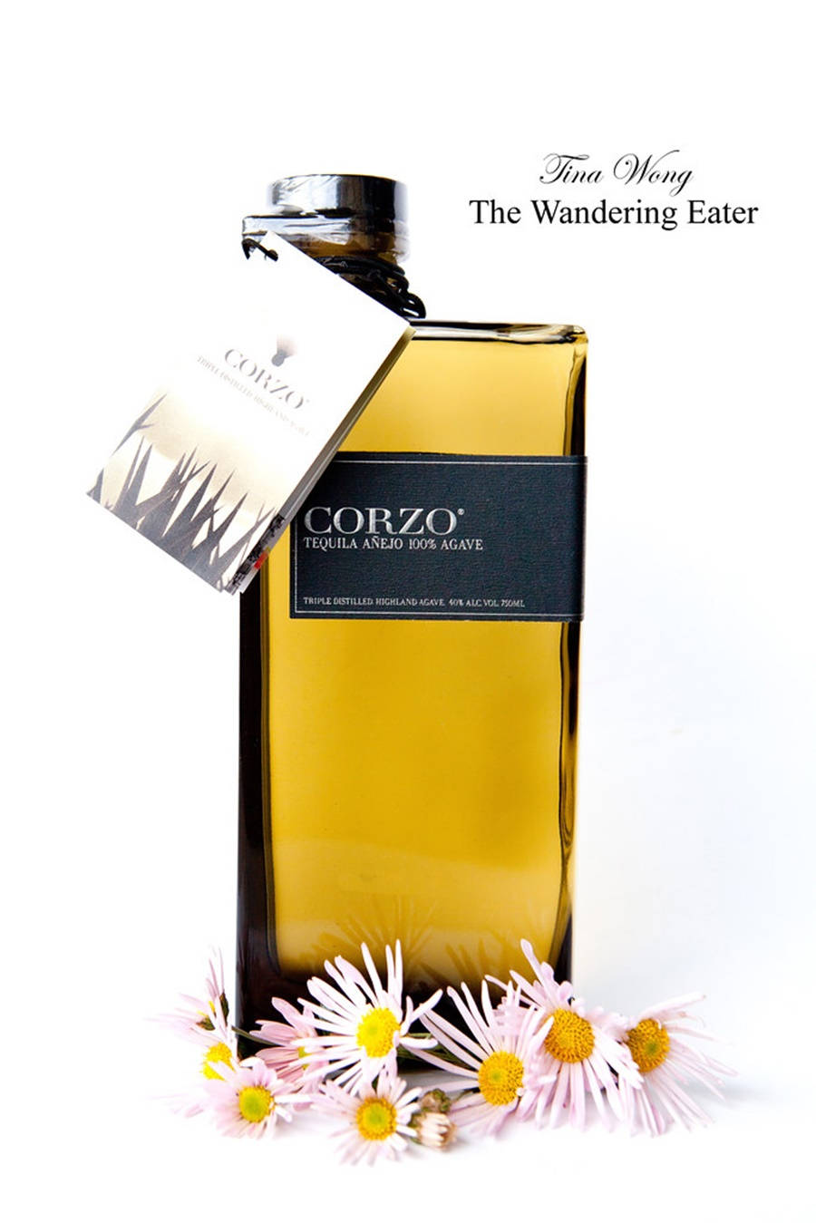一個Corzo Tequila Añejo酒瓶被粉紅色雛菊環繞，背景為白色。