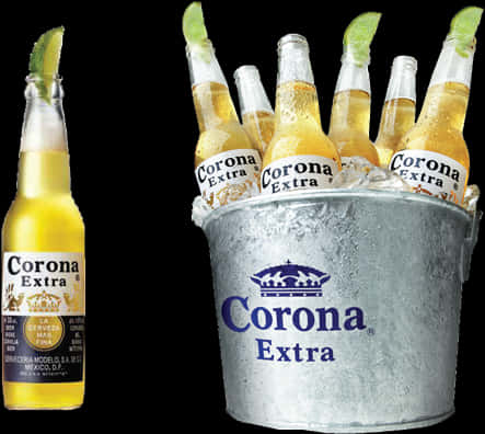 科羅娜啤酒桶配青檸 壁紙 — 一支Corona Extra啤酒樽放在一個裝滿多支Corona Extra啤酒樽的冷凍金屬桶旁邊，每支都飾以青檸角，背景為黑色。
