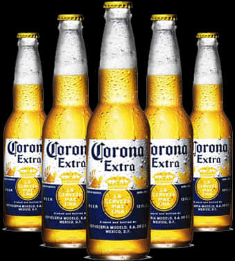 科羅娜啤酒瓶 壁紙 — 五瓶冰凍的Corona Extra啤酒瓶帶冷凝水，在黑色背景前排列成一行。