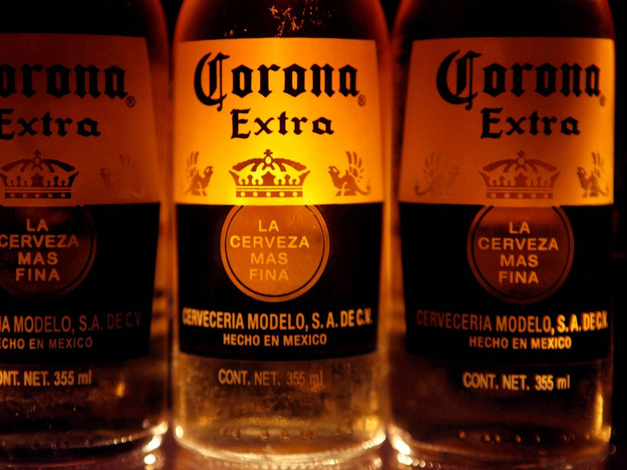 科羅娜特級啤酒 壁紙 — 三瓶Corona Extra啤酒在金色燈光下溫暖地發光，標籤清晰，帶有冷凝水滴。