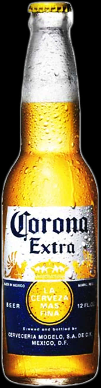 科羅娜特級啤酒瓶 壁紙 — 冰凍的Corona Extra啤酒瓶在純黑背景上閃爍著冷凝水珠。