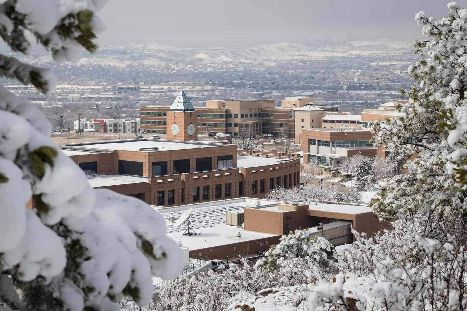 科羅拉多大學校園全景 壁紙 — 積雪的松樹枝條框住一個廣闊的大學校園，內有磚砌建築和鐘樓，背景是朦朧的冬日天空。