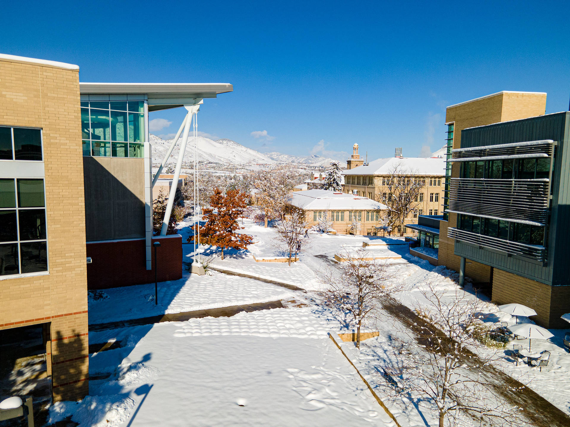 白雪覆蓋的校園建築和小徑，在明亮的藍天下，背景有山。