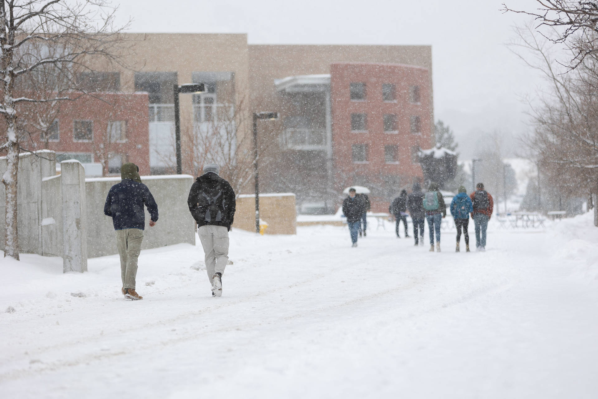 學生們在磚砌建築附近的校園小徑上雪中行走。