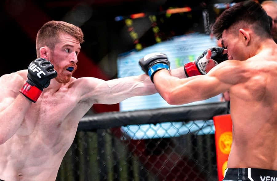 兩名MMA拳手在八角籠內比賽中互相出拳。