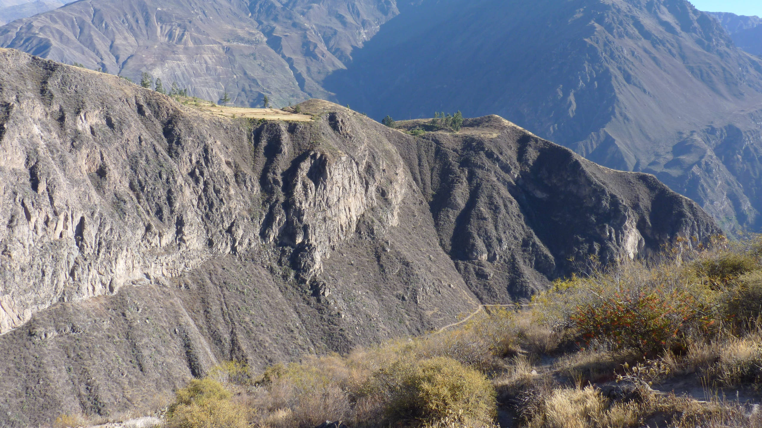 秘魯科爾卡峽谷的壯麗山巒 壁紙 — 崎嶇的山脊在明亮的日光下，乾燥的灌木叢揭示了層狀岩石紋理和深邃的山谷。