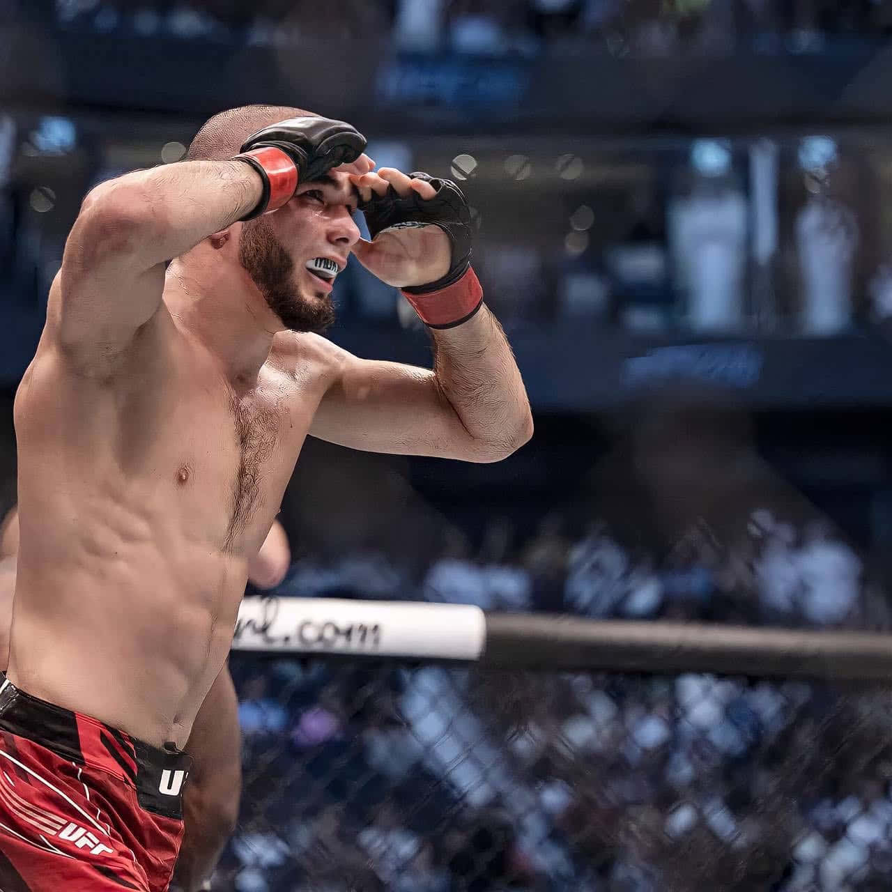 UFC拳手在比賽中於八角籠內擦汗