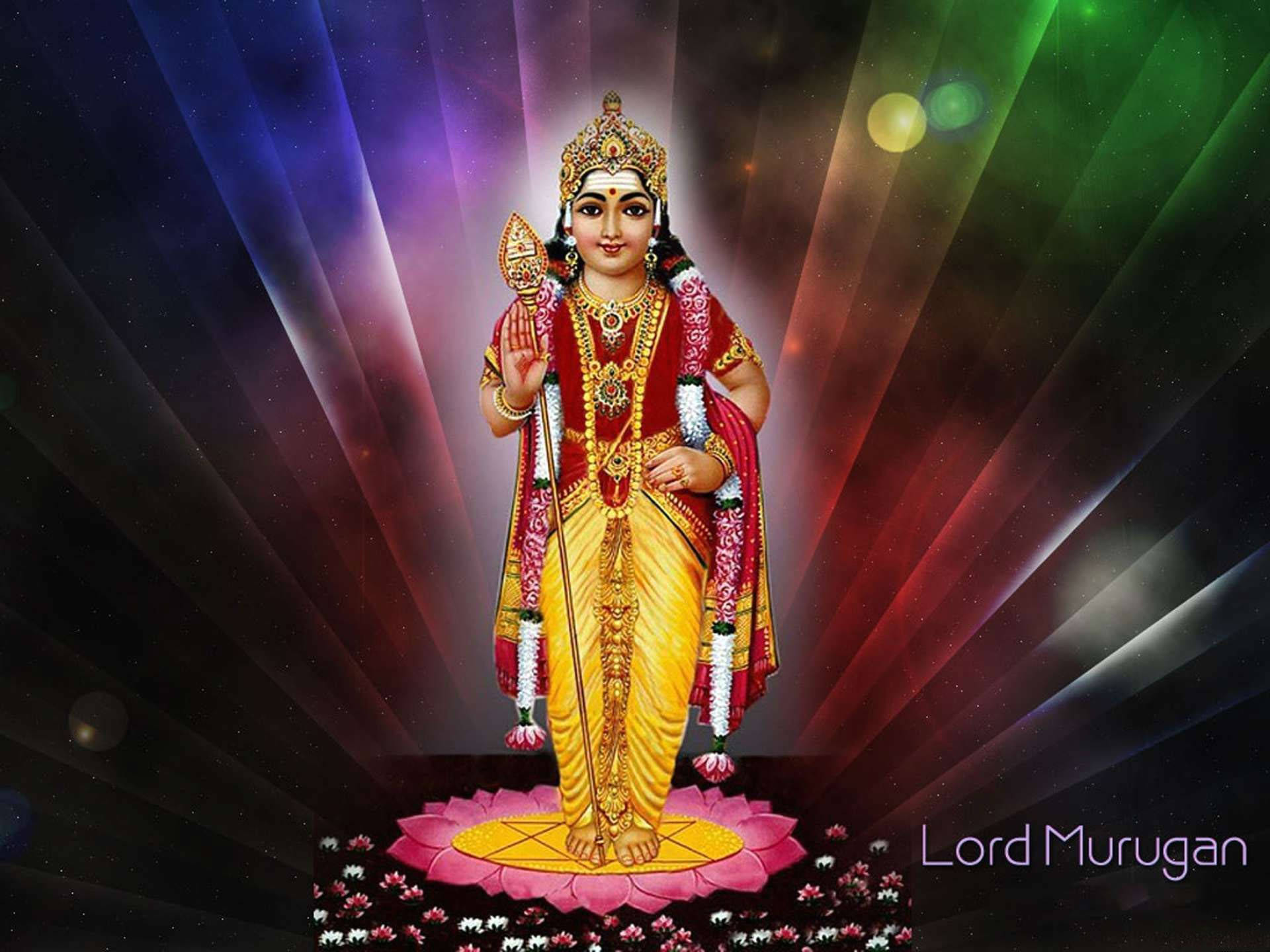 Lord Murugan 桌布 壁紙 — 穆魯干主神身著金色服飾和紅色腰帶，光芒四射地站在粉紅色蓮花上，周圍環繞著宇宙光束和飄浮的花朵。