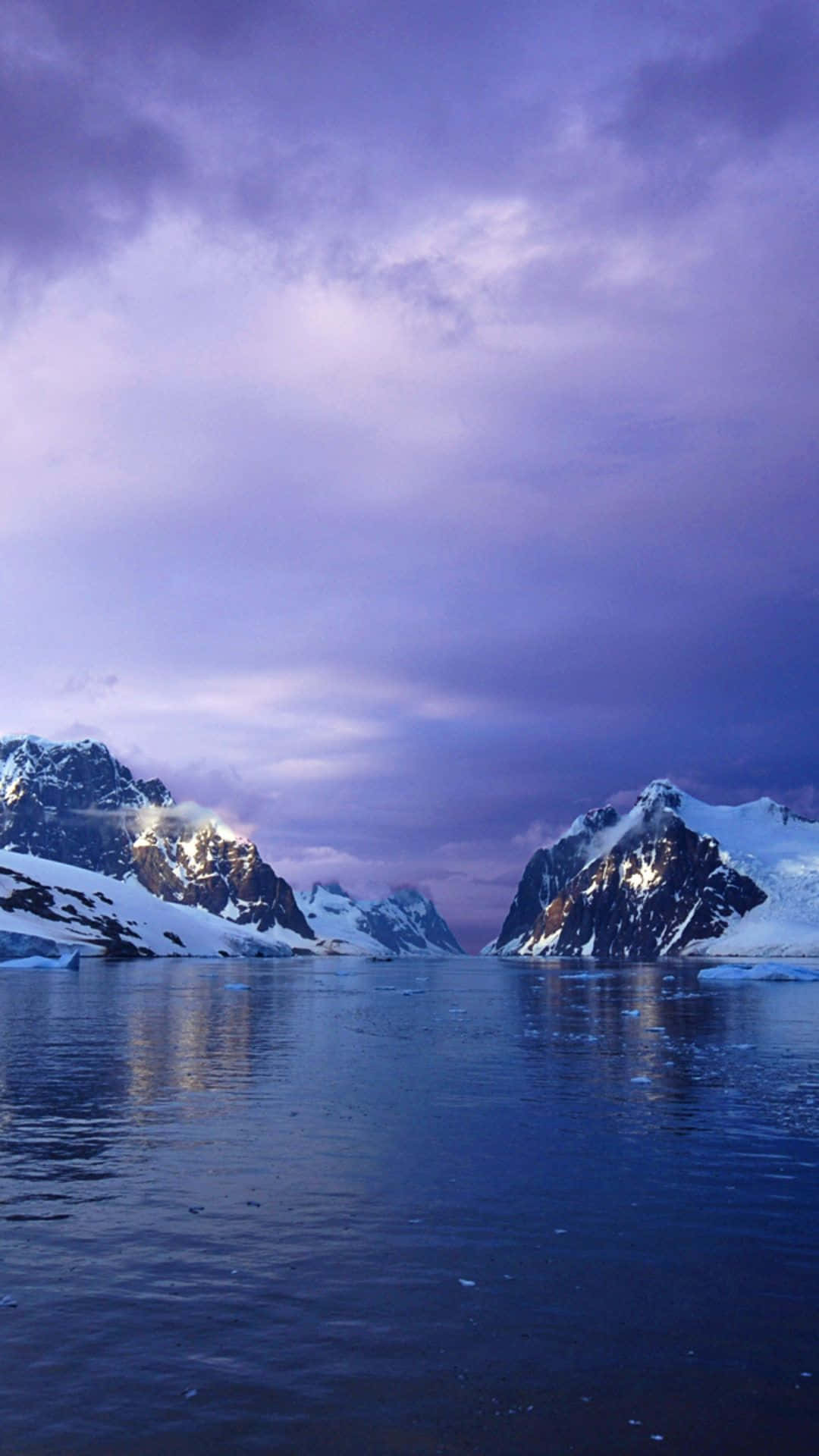 Antarctica 桌布 壁紙 — 積雪的山峰在平靜的水面上倒映，天空呈現戲劇性的紫色暮色。