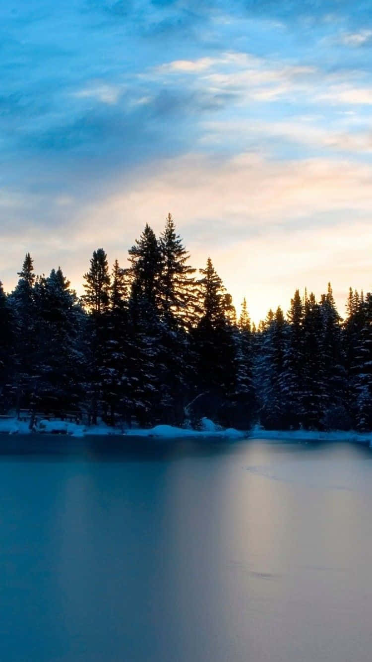 Frozen Lake 桌布 壁紙 — 積雪的松樹在暮色天空的映襯下形成剪影，倒映在結冰的湖面上。