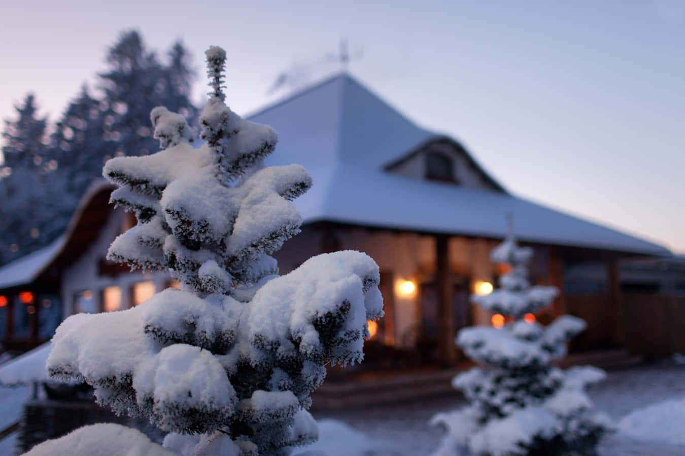 冬季 桌布 壁紙 — 積雪的松樹枝條框住一間舒適的小屋，在暮色天空中溫暖地發光。