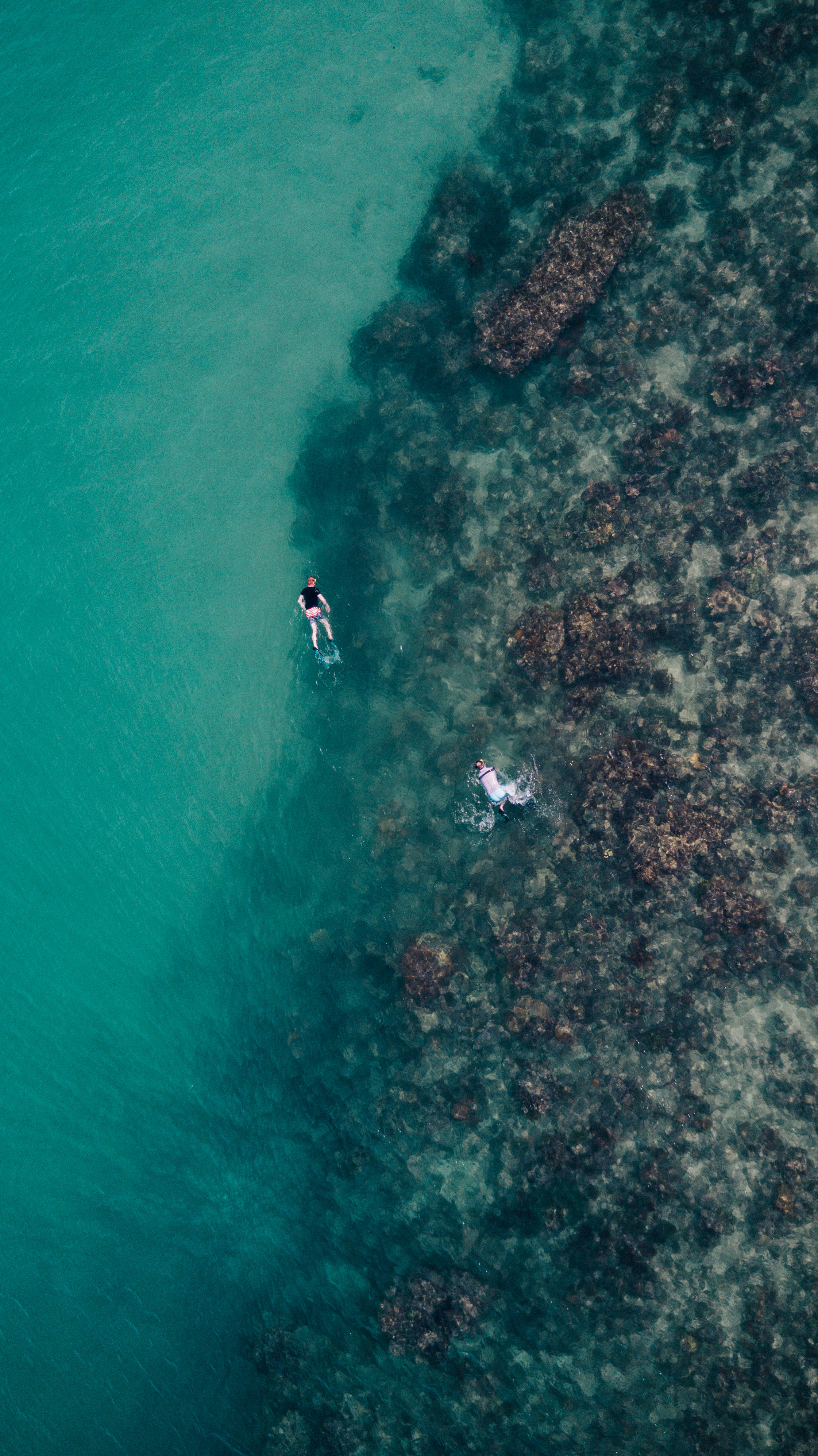 空中俯瞰浮潛者 壁紙 — 從空中俯瞰，兩人在清澈碧綠的海水中，在岩石礁旁平靜地漂浮。