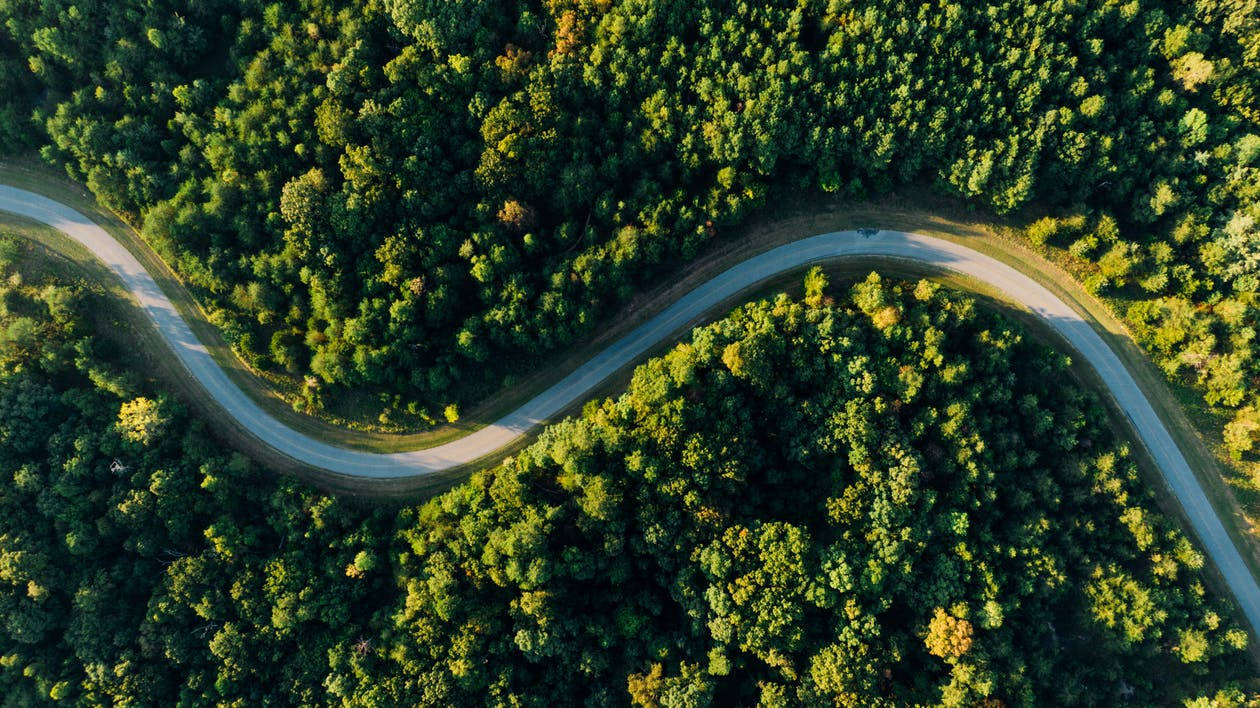 一條蜿蜒的道路從上方穿過鬱鬱蔥蔥的綠色森林。