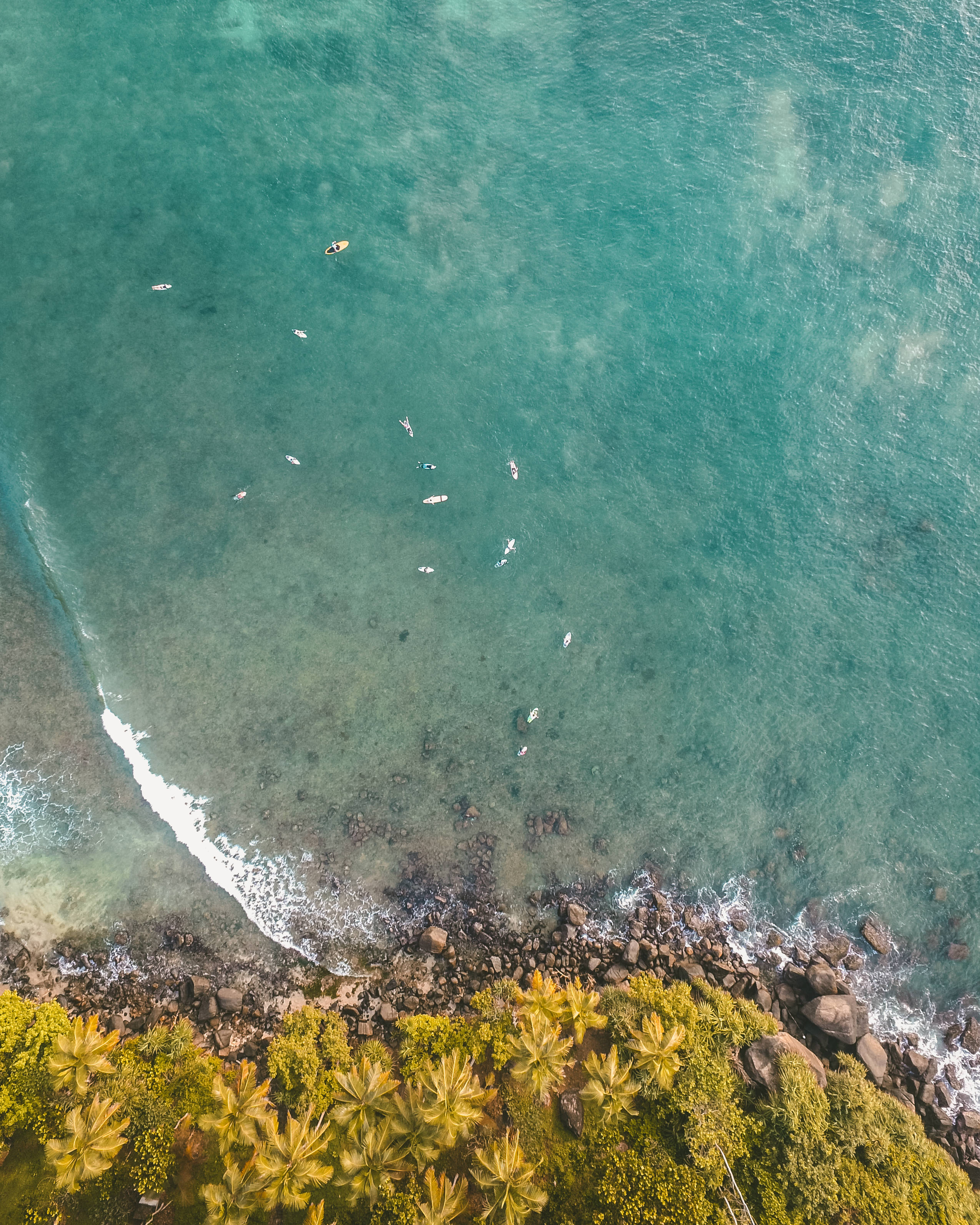 空中熱帶海灘自然風景 壁紙 — 俯瞰圖，顯示碧綠海洋中有衝浪者和皮划艇愛好者，靠近岩石海岸，岸邊種滿茂密的綠色棕櫚樹。