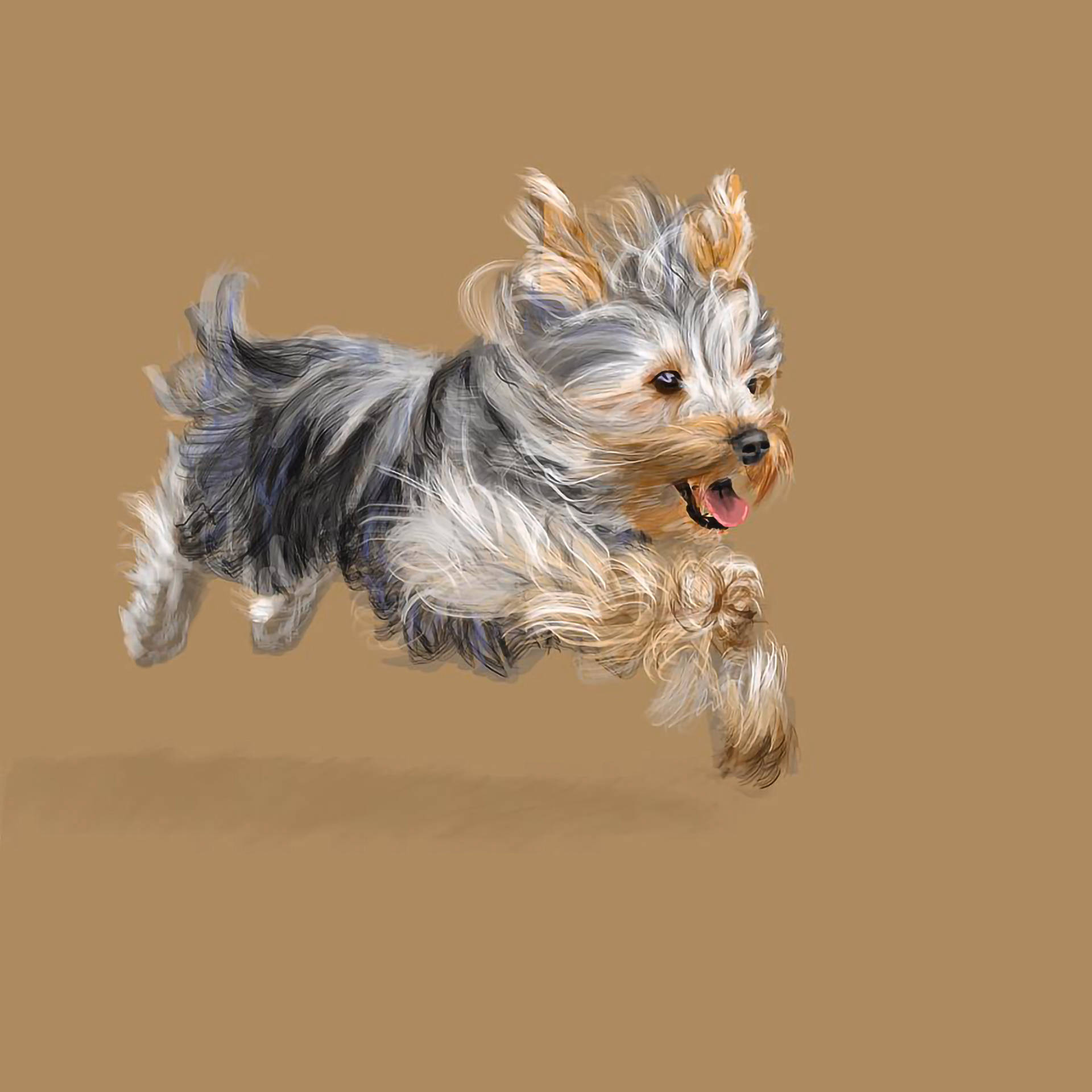 空中躍動的約克夏幼犬 壁紙 — 一隻快樂的約克夏㹴在半空中跳躍，蓬鬆的灰色和棕褐色毛髮在純棕褐色背景上動態飄揚。