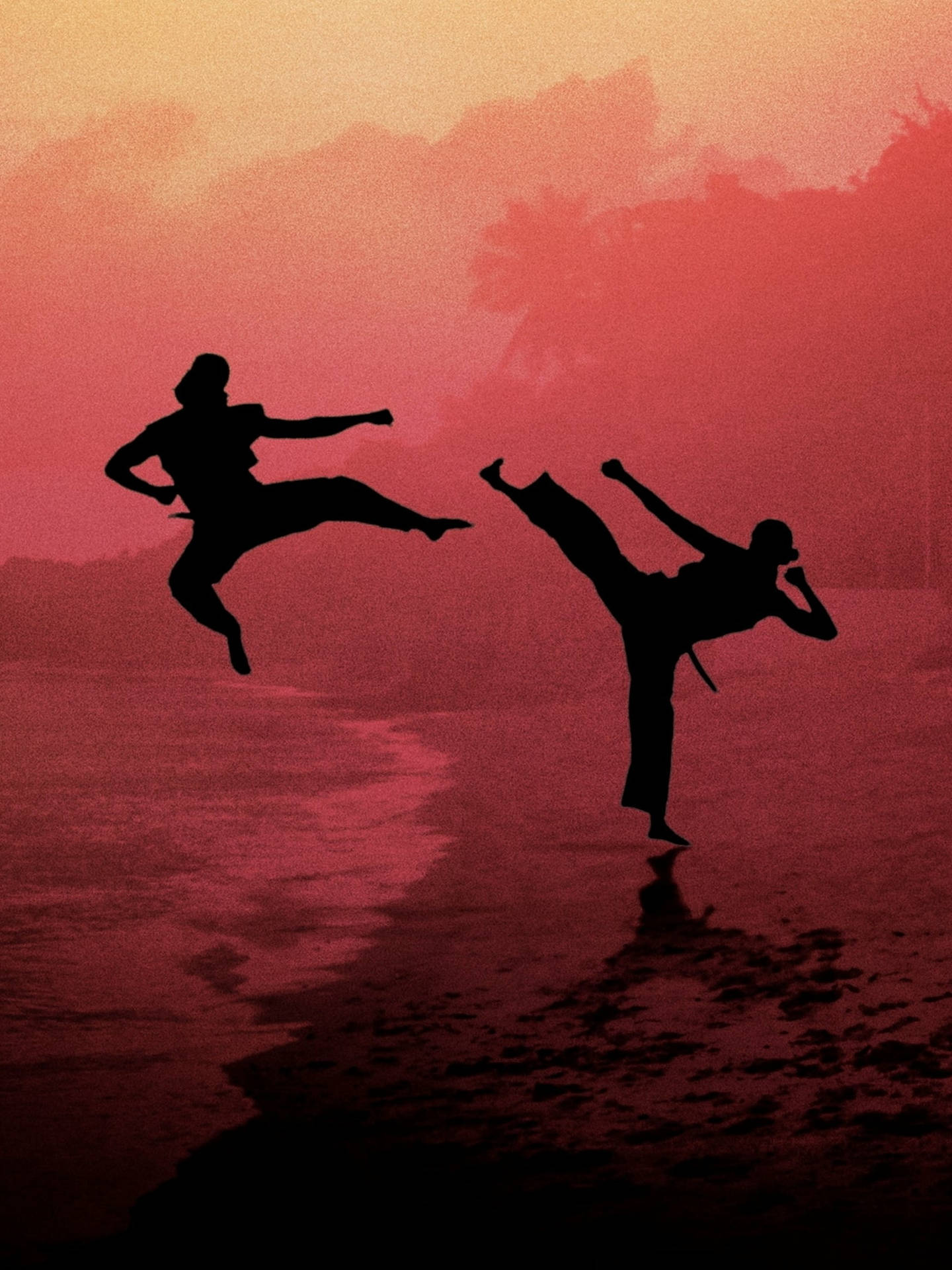 兩個剪影的武術家在夕陽下的水上踢腿