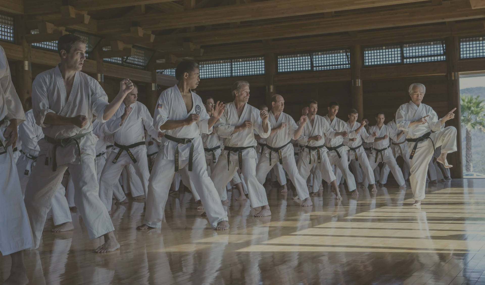 身穿白色道服的武術家在木製道場中練習同步動作。