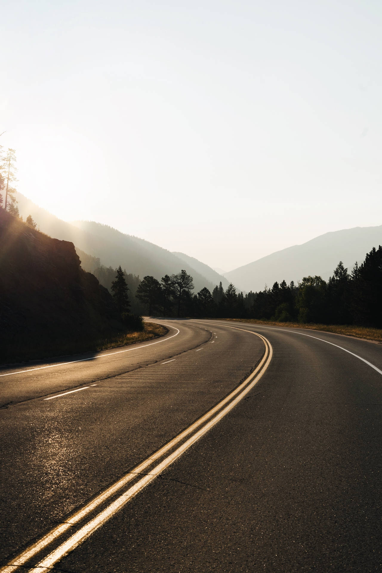日出時穿過山脈的彎曲道路，兩旁是森林。