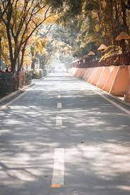 陽光穿過秋樹照在寧靜的道路上。