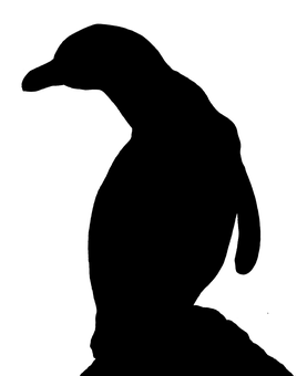 空白黑色畫布 壁紙