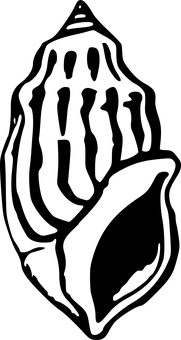 空的圖片檔案 壁紙