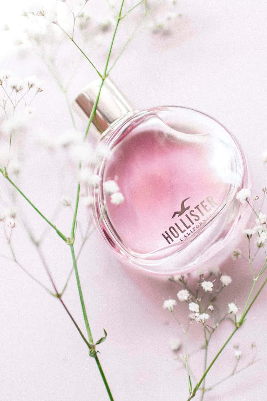 粉紅色Hollister香水瓶配滿天星花朵，粉紅色背景。
