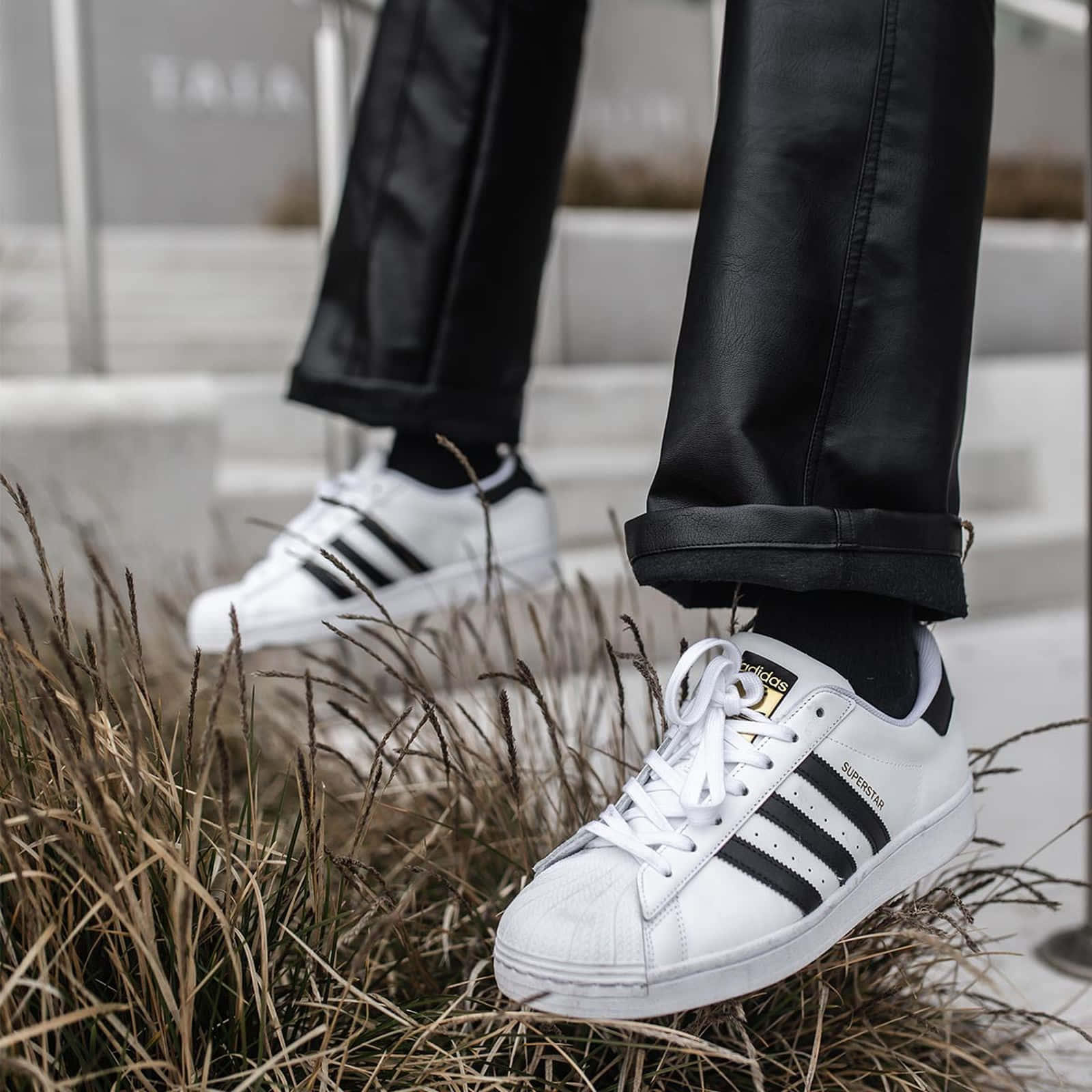 穿著白色adidas superstar運動鞋配黑色條紋的人，踏在混凝土階梯附近的乾草上。 — Adidas GIF 壁紙