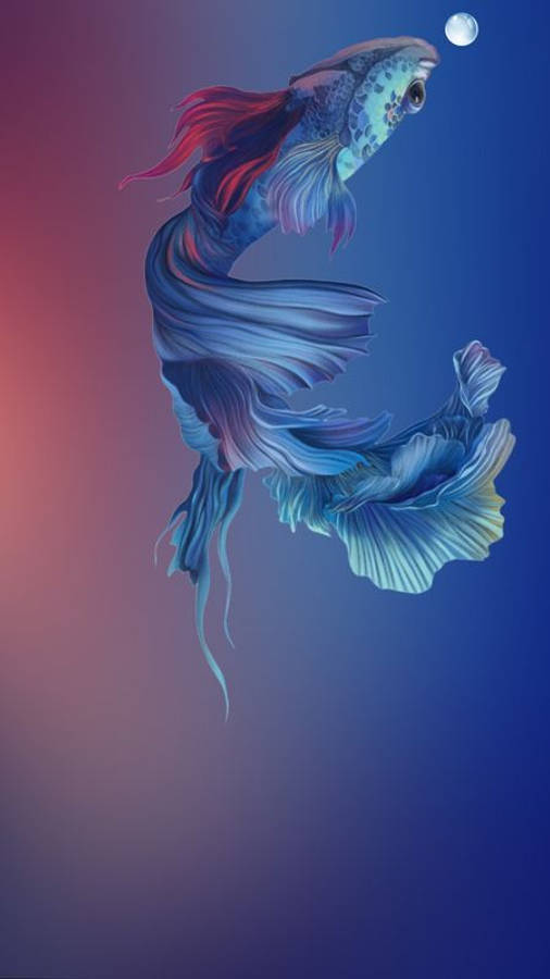 穿孔 iPhone 壁紙：藍色暹羅鬥魚迎月游動 壁紙 — 一條鮮豔的藍色鬥魚，飄動著紅色魚鰭，在漸變天空下，頂著一輪發光的月亮，優雅地游動。