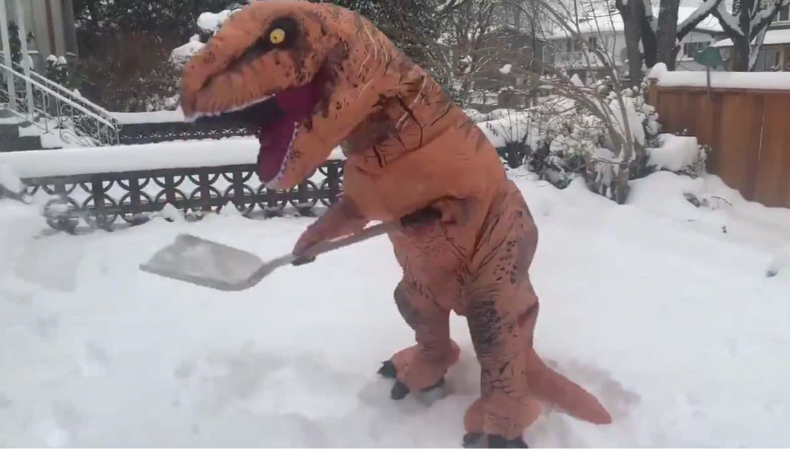 穿著暴龍服裝的人在雪後院鏟雪