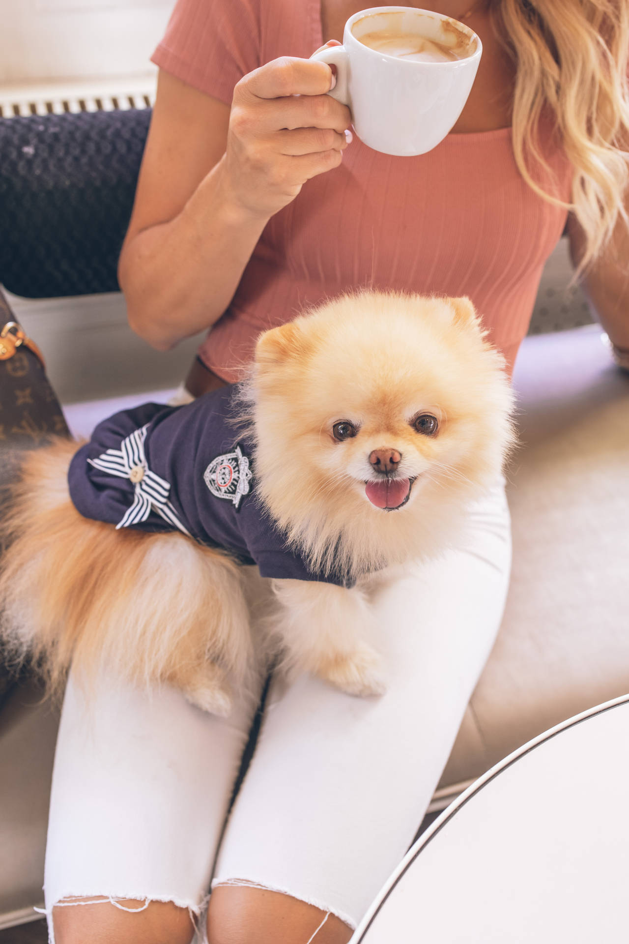 女士手持咖啡杯，腿上有一隻穿著水手服的毛茸茸博美犬。