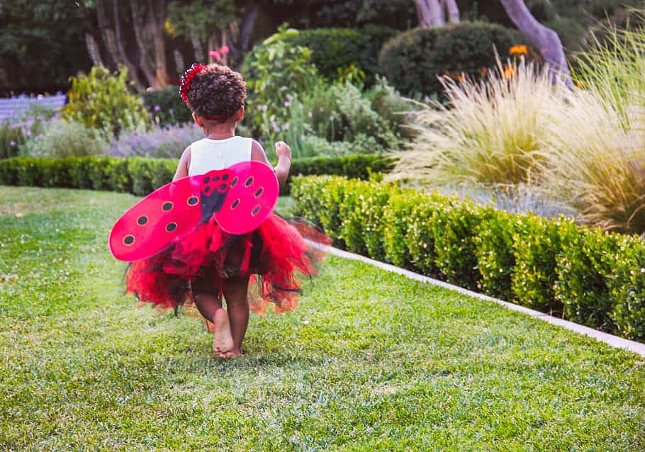 穿瓢蟲服裝的兒童在花園奔跑 壁紙 — 一個穿著紅色瓢蟲服裝的幼兒赤腳跑過茂密的綠色草坪，朝花園小徑走去。
