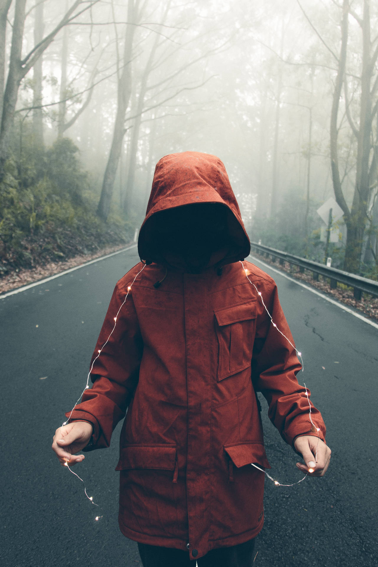 穿紅色外套的人在霧氣森林道路上手持仙女燈