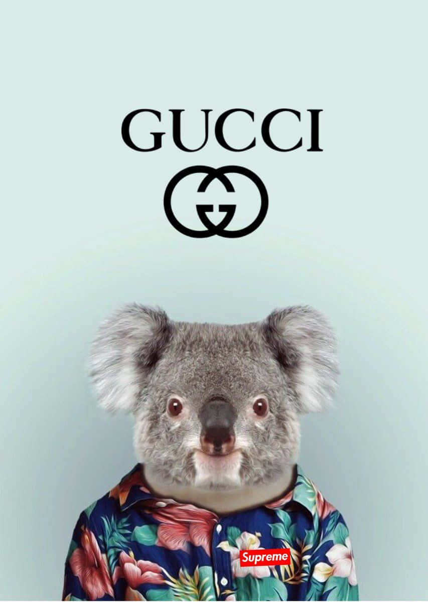 樹熊穿著花襯衫，帶有Gucci和Supreme標誌，淺藍色背景。