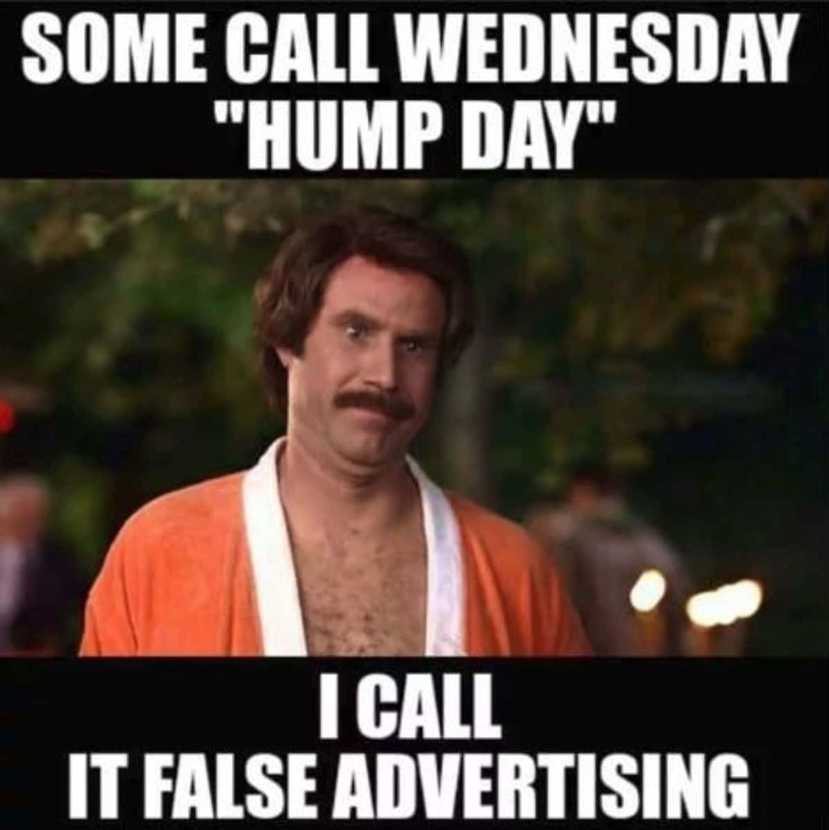 Holiday Memes 桌布 壁紙 — 穿著橙色長袍、留鬍鬚的男人面無表情地盯著鏡頭，文字宣稱星期三係虛假廣告。