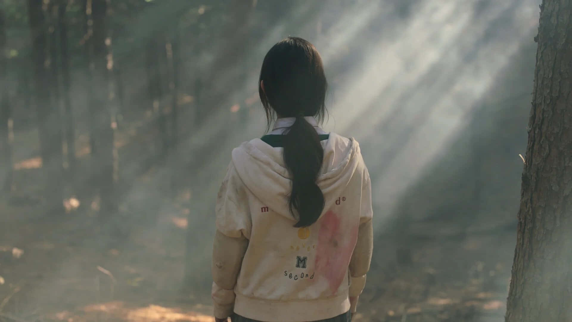 穿著衛衣的女孩站在樹林裡 壁紙