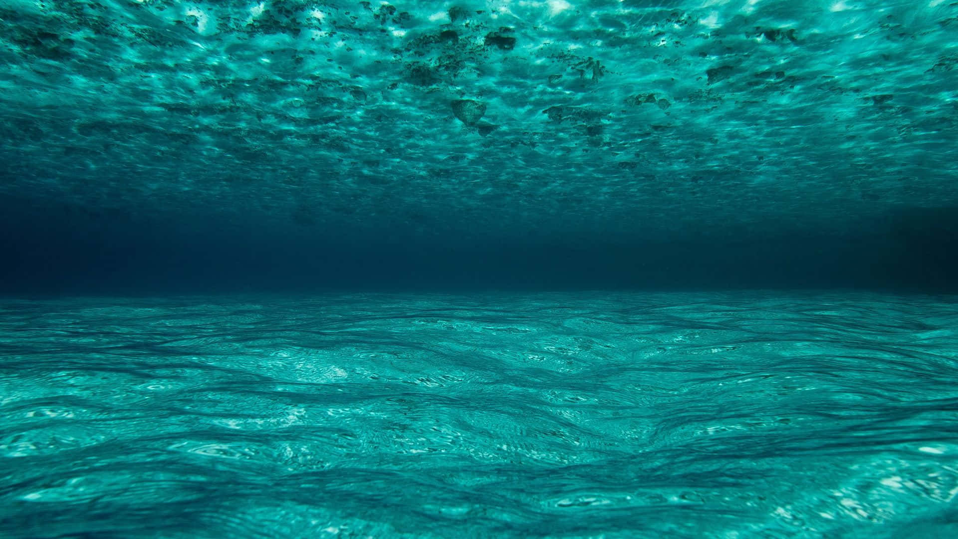 碧綠海水與波光粼粼的水面光線圖案的水下場景。