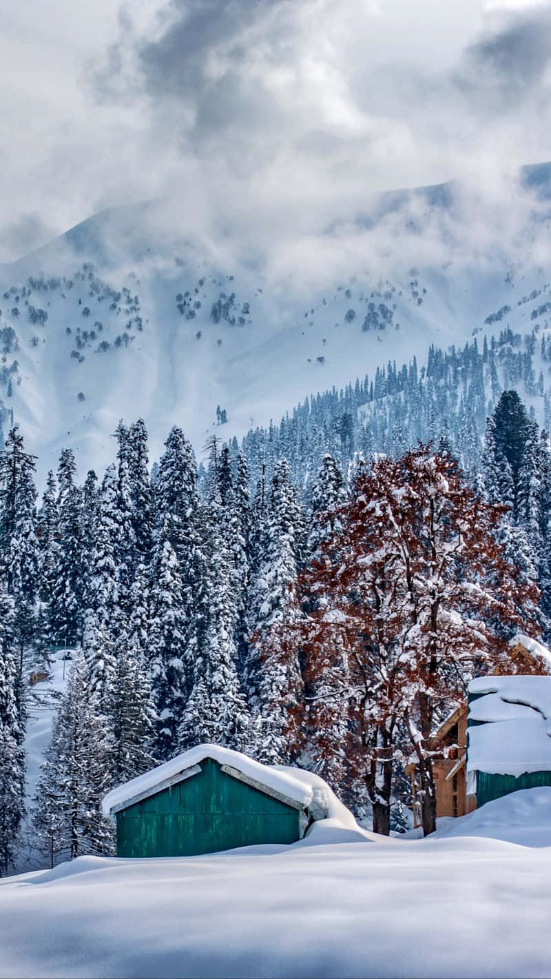 冬季森林中的雪覆小屋，霧氣山巒，紅葉樹。