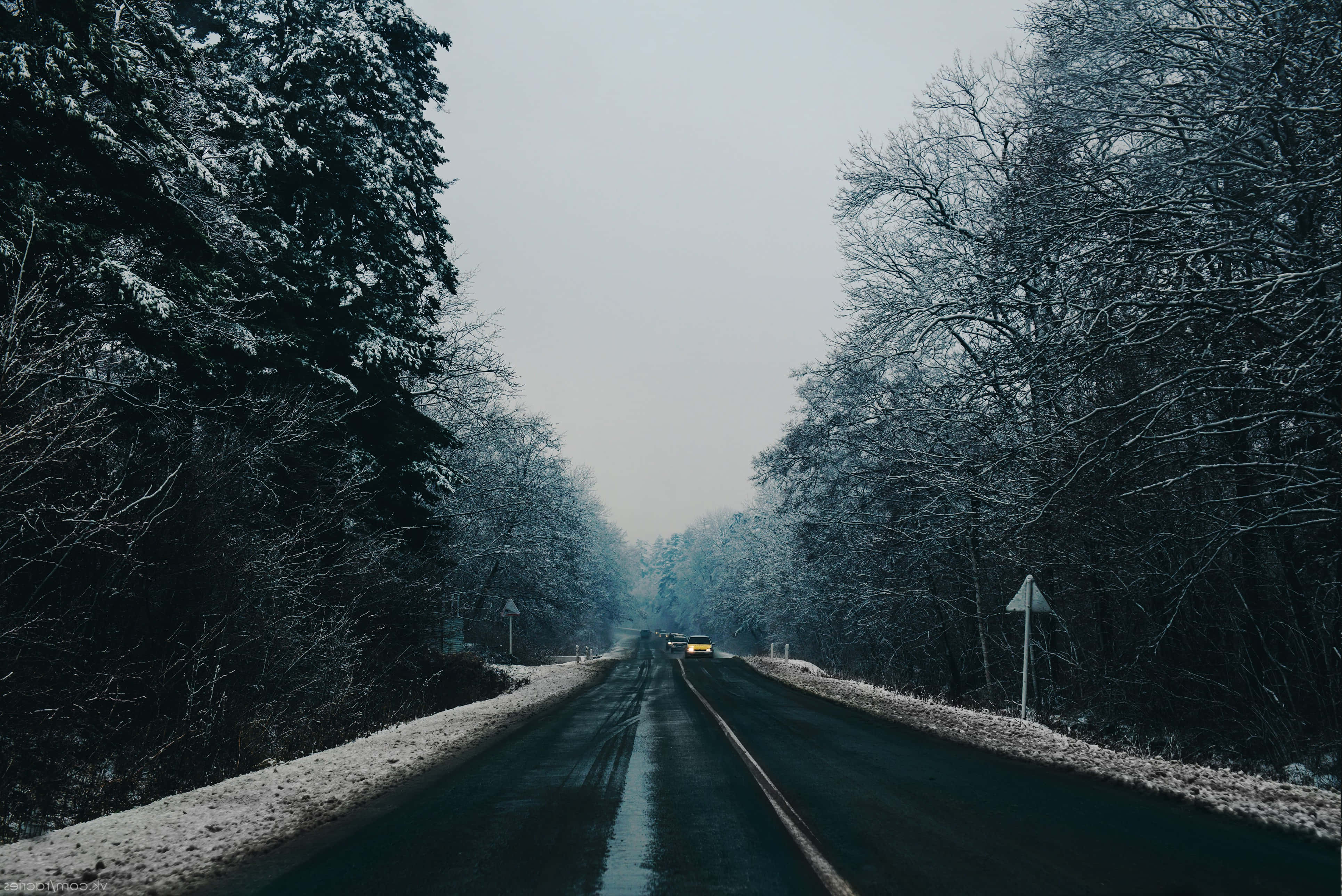穿越壯麗自然的公路之旅 壁紙 — 一輛孤獨的汽車在灰濛濛的冬日天空下行駛在積雪的森林道路上。