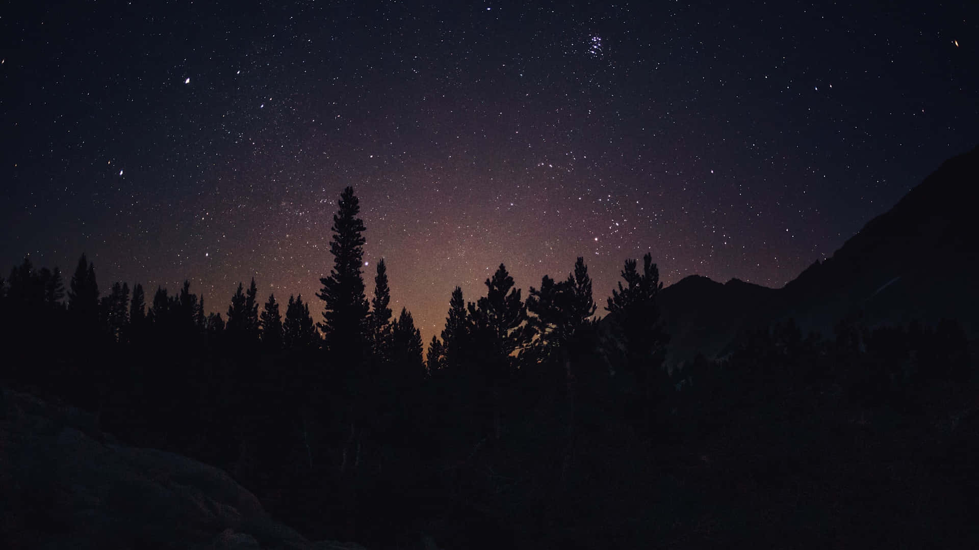 森林和山脈上方的星空夜空