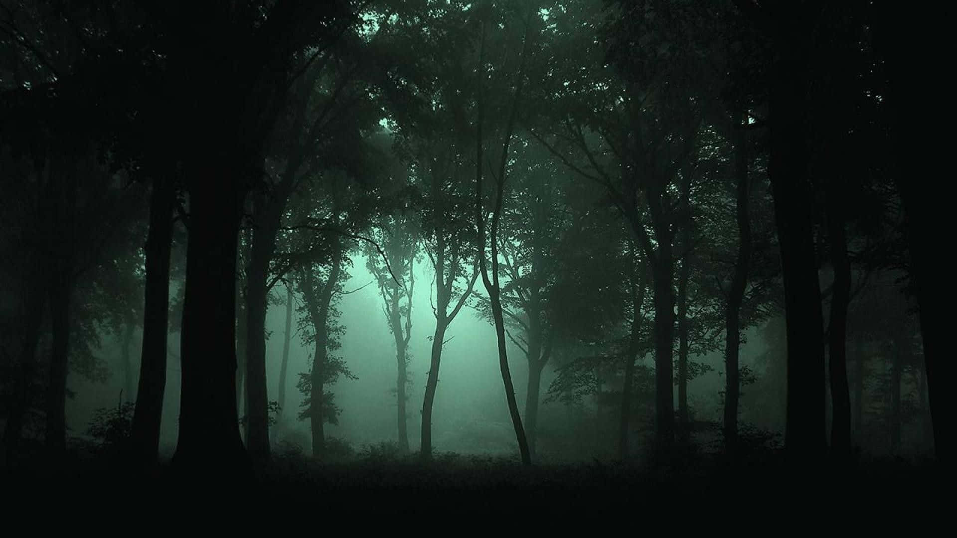 夜晚樹幹之間有霧氣和綠色光芒的黑暗森林。
