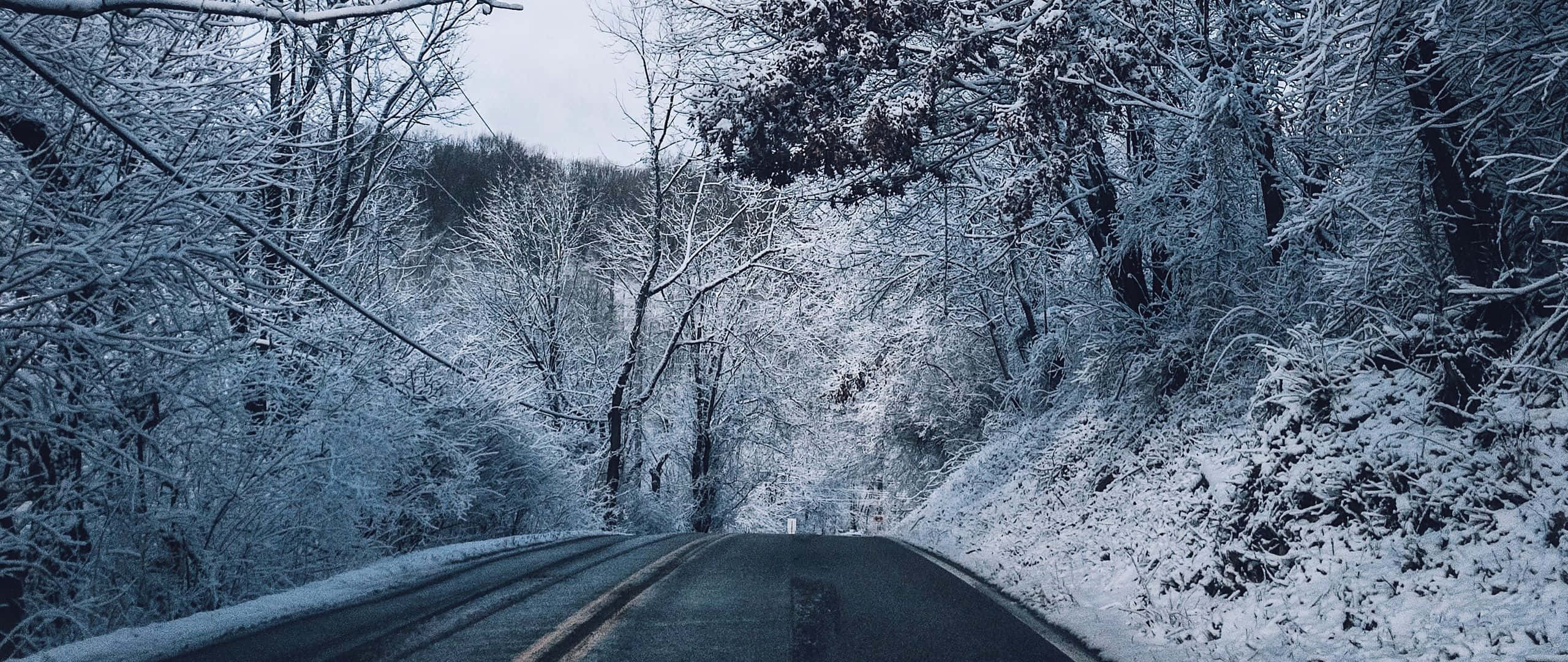 穿越蜿蜒山路的旅程 壁紙 — 一條蜿蜒的道路穿過白雪覆蓋的森林，樹木結滿霜，天空陰沉沉的冬日。