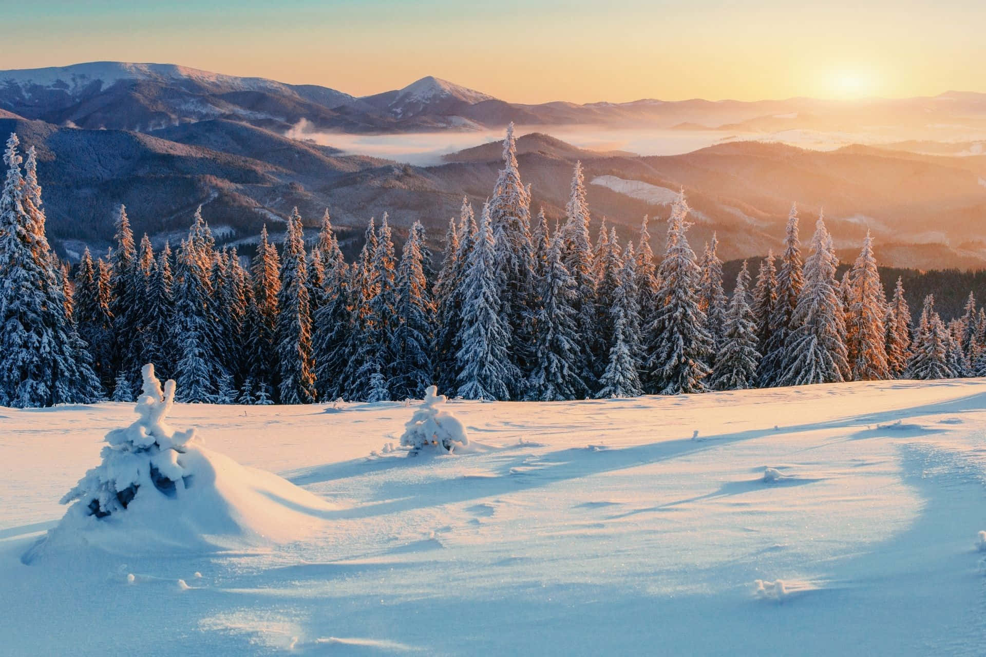 穿越雪域山巒的奇幻縮放之旅 壁紙 — 日出將白雪覆蓋的松樹和山脈沐浴在溫暖的金色光芒中，薄霧在山谷間飄蕩。