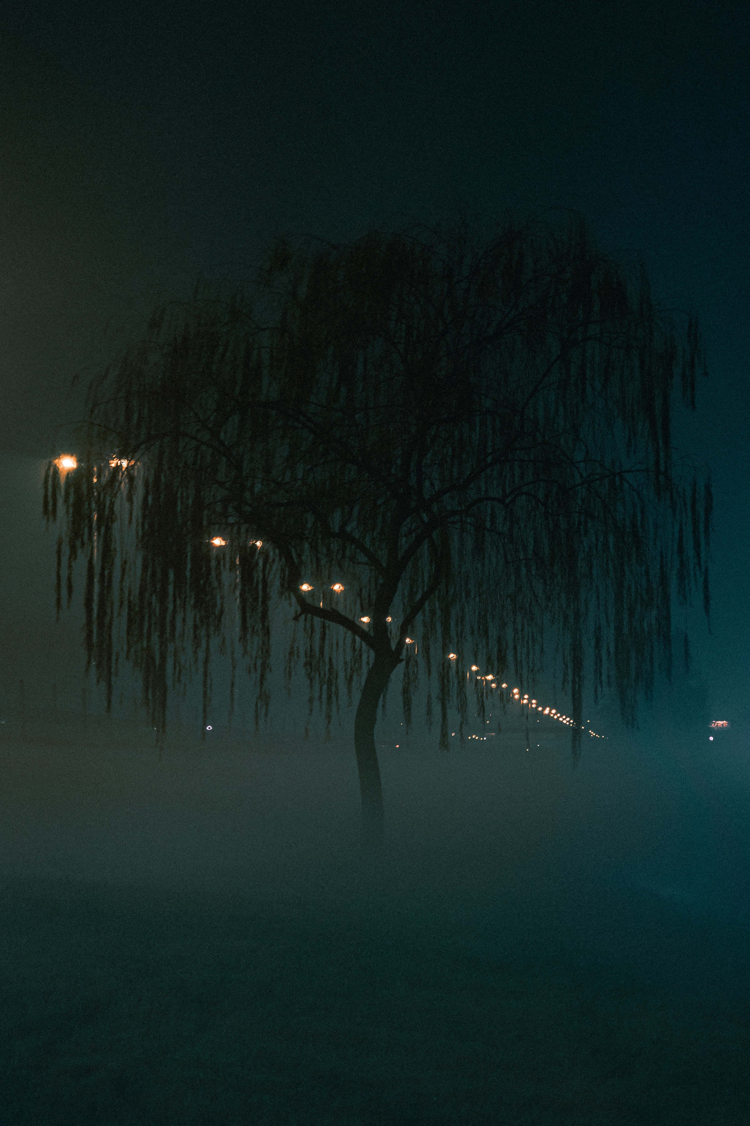穿過魔法森林的神秘小徑 壁紙 — 一棵孤獨的垂柳在夜燈下，在霧氣中形成剪影，散發出憂鬱的藍綠色光芒。