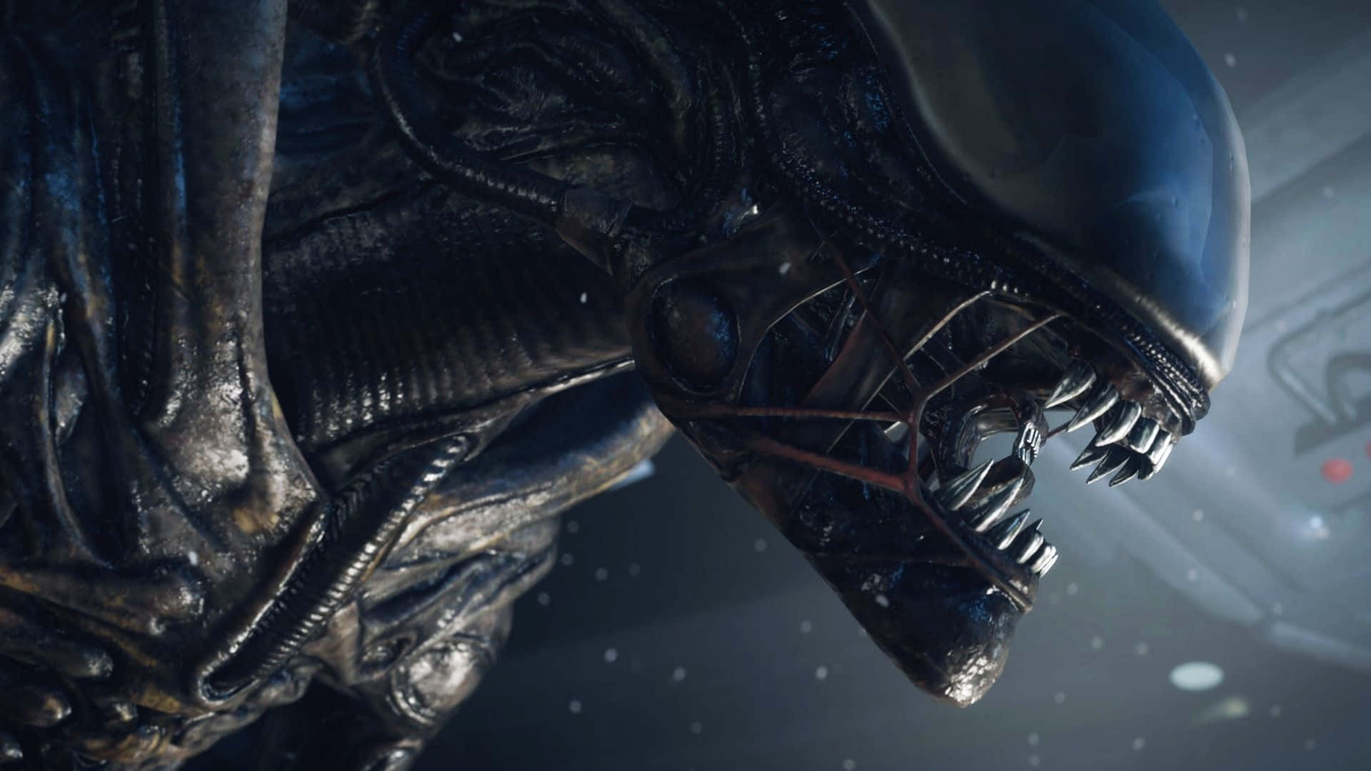 「突破未知的界限」 壁紙 — 一個生物機械外星生物的近距離特寫，擁有光澤的黑色頭部和鋒利的牙齒，背景是星空。