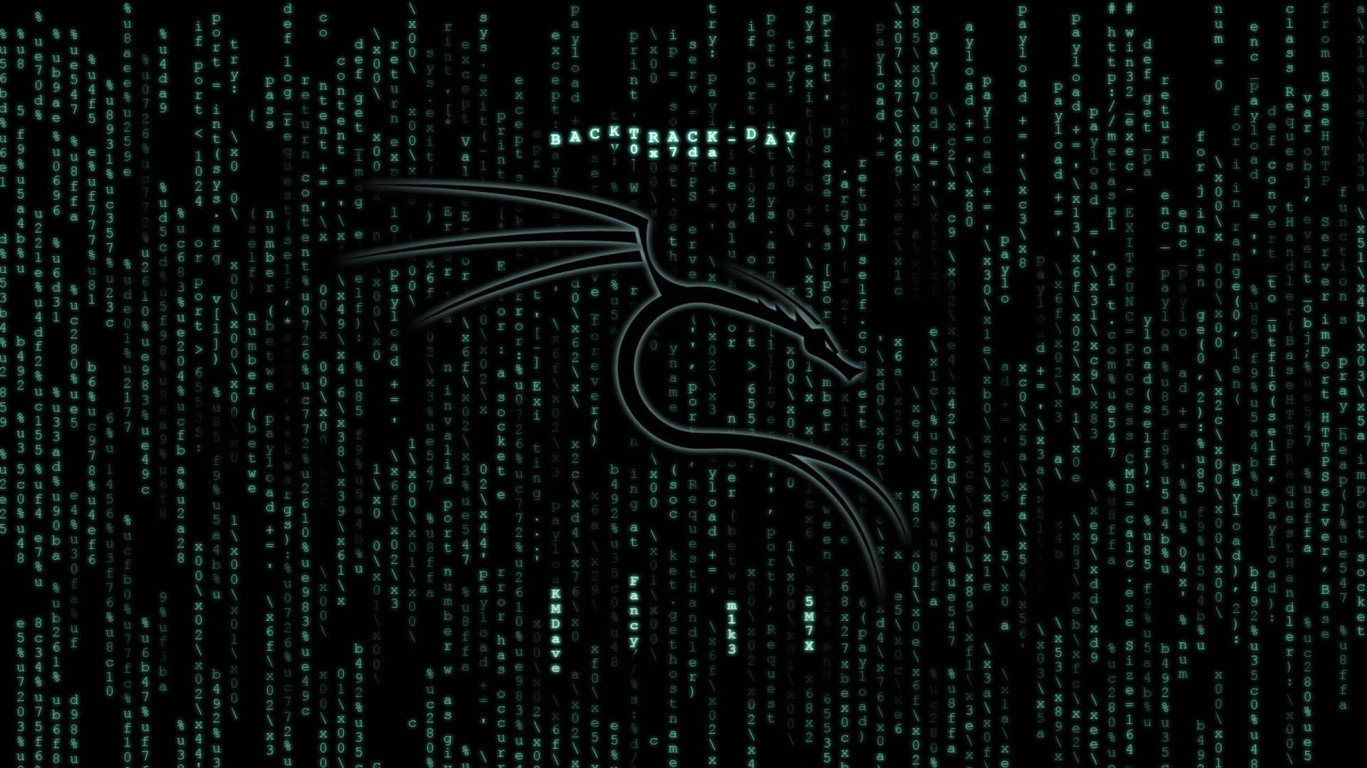 Linux企鵝標誌在綠色數位代碼中落在黑色背景上