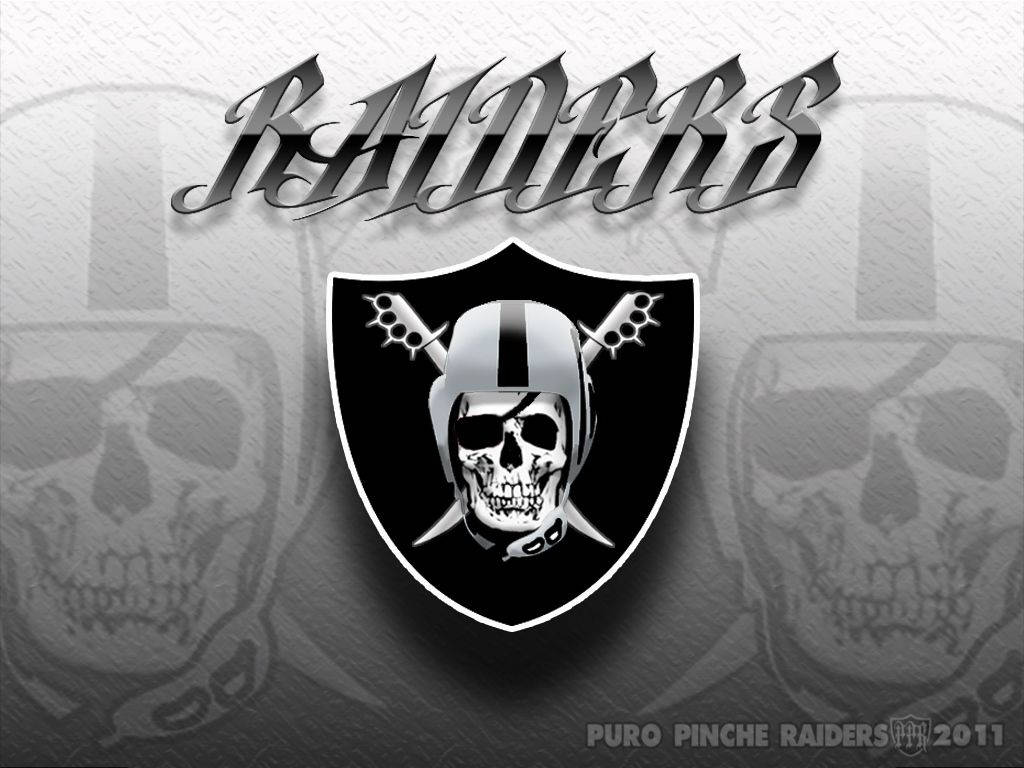 Raiders 足球隊標誌，帶有骷髏頭和交叉骨頭，置於紋理灰色背景上。